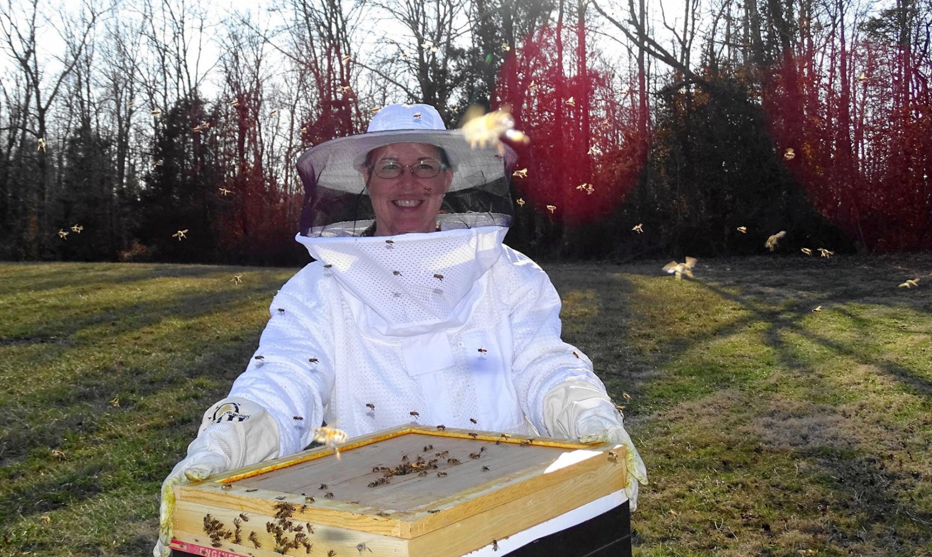 beekeeping.JPG
